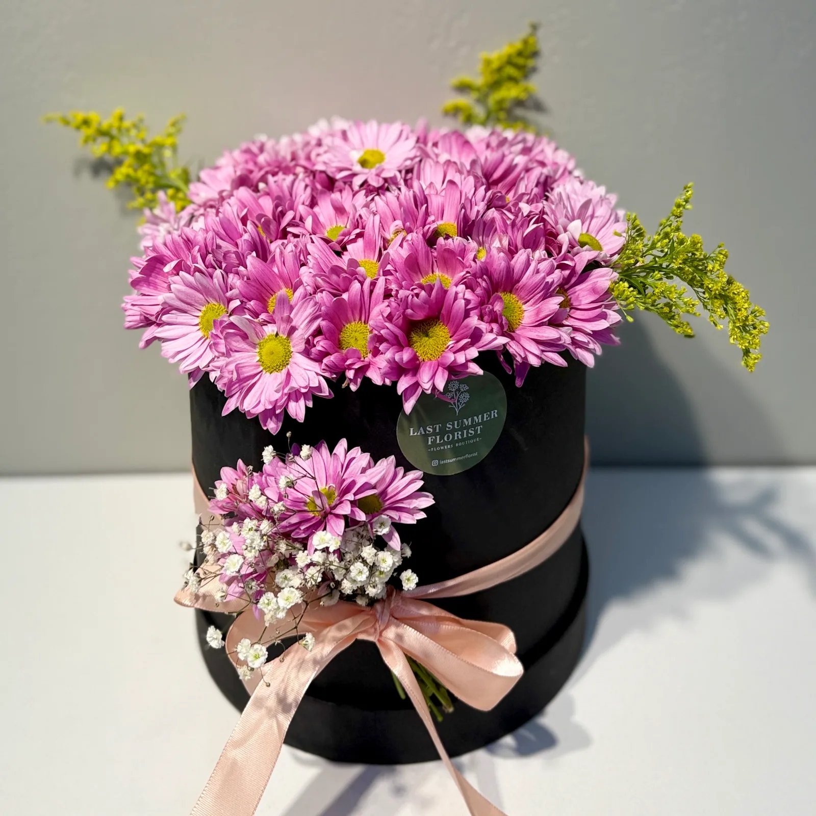Siyah Kutuda Pembe Papatya